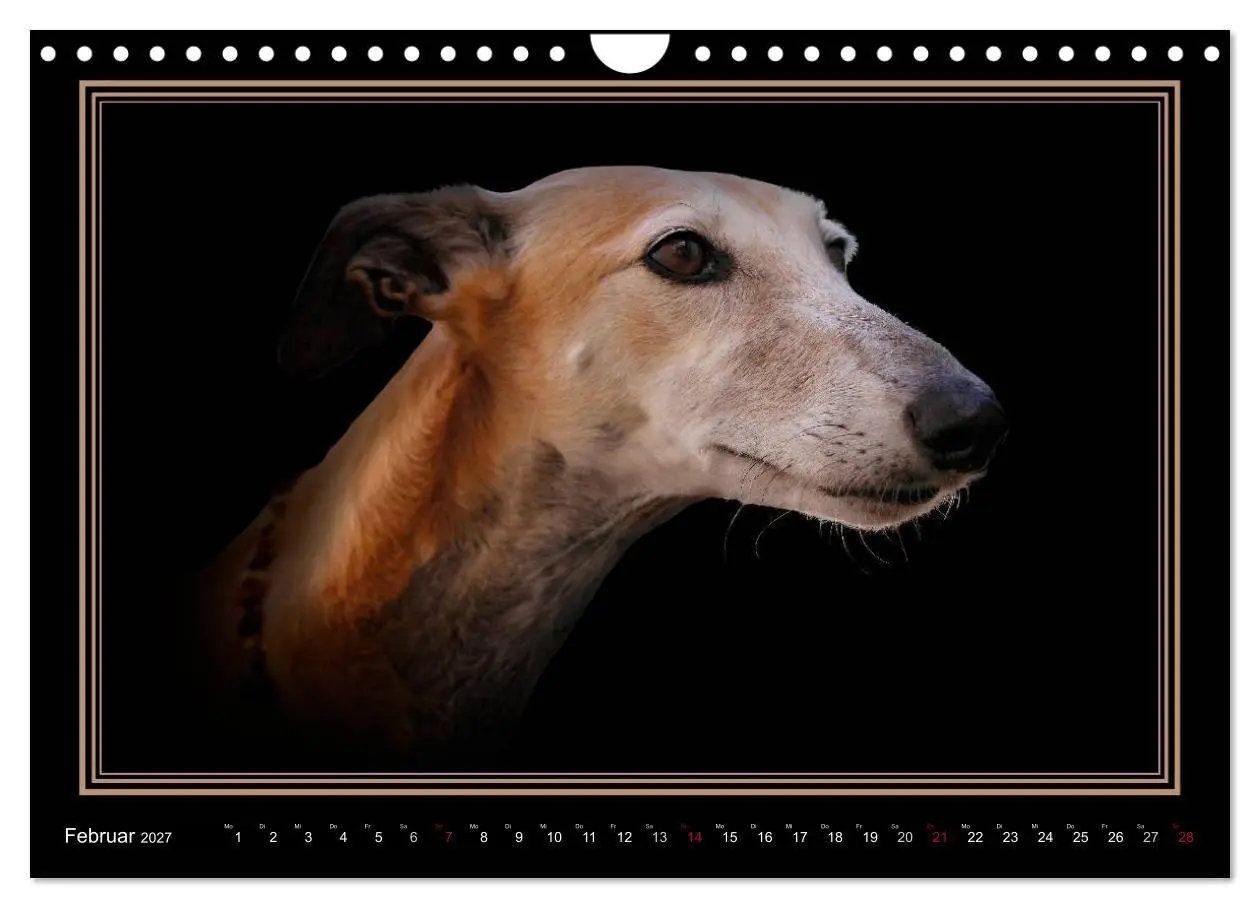 Bild: 9783594113189 | Galgo Español 2027- Der spanische Windhund (Wandkalender 2027 DIN...