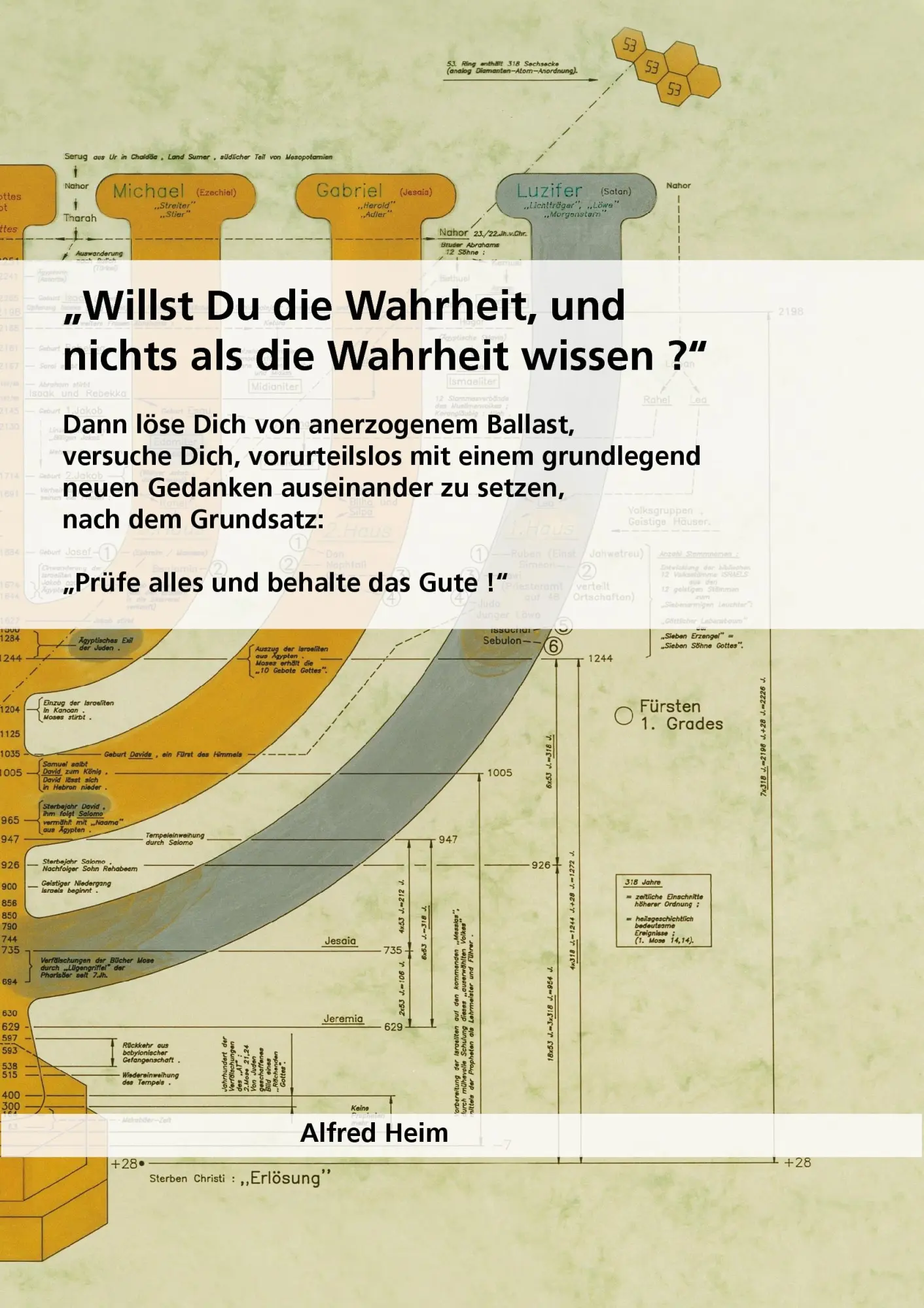 Cover: 9783833483189 | Willst Du die Wahrheit und nichts als die Wahrheit wissen? | Heim