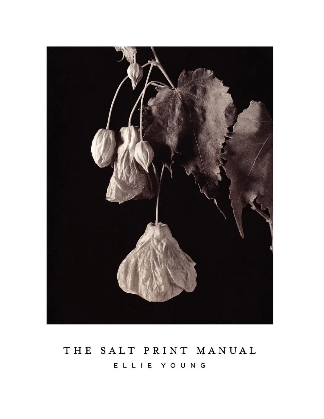 Cover: 9781445283289 | The Salt Print Manual | Ellie Young | Taschenbuch | Englisch | 2011