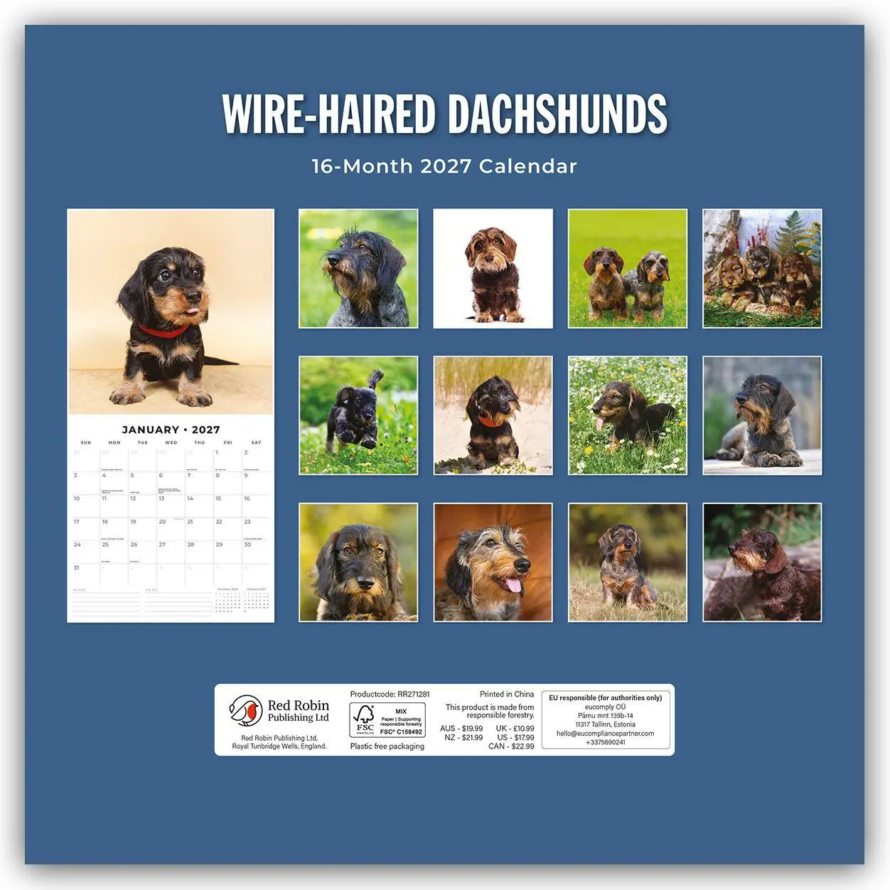Rückseite: 9781837013289 | Wire-Haired Dachshunds - Rauhaardackel 2027 - 16-Monatskalender | Red
