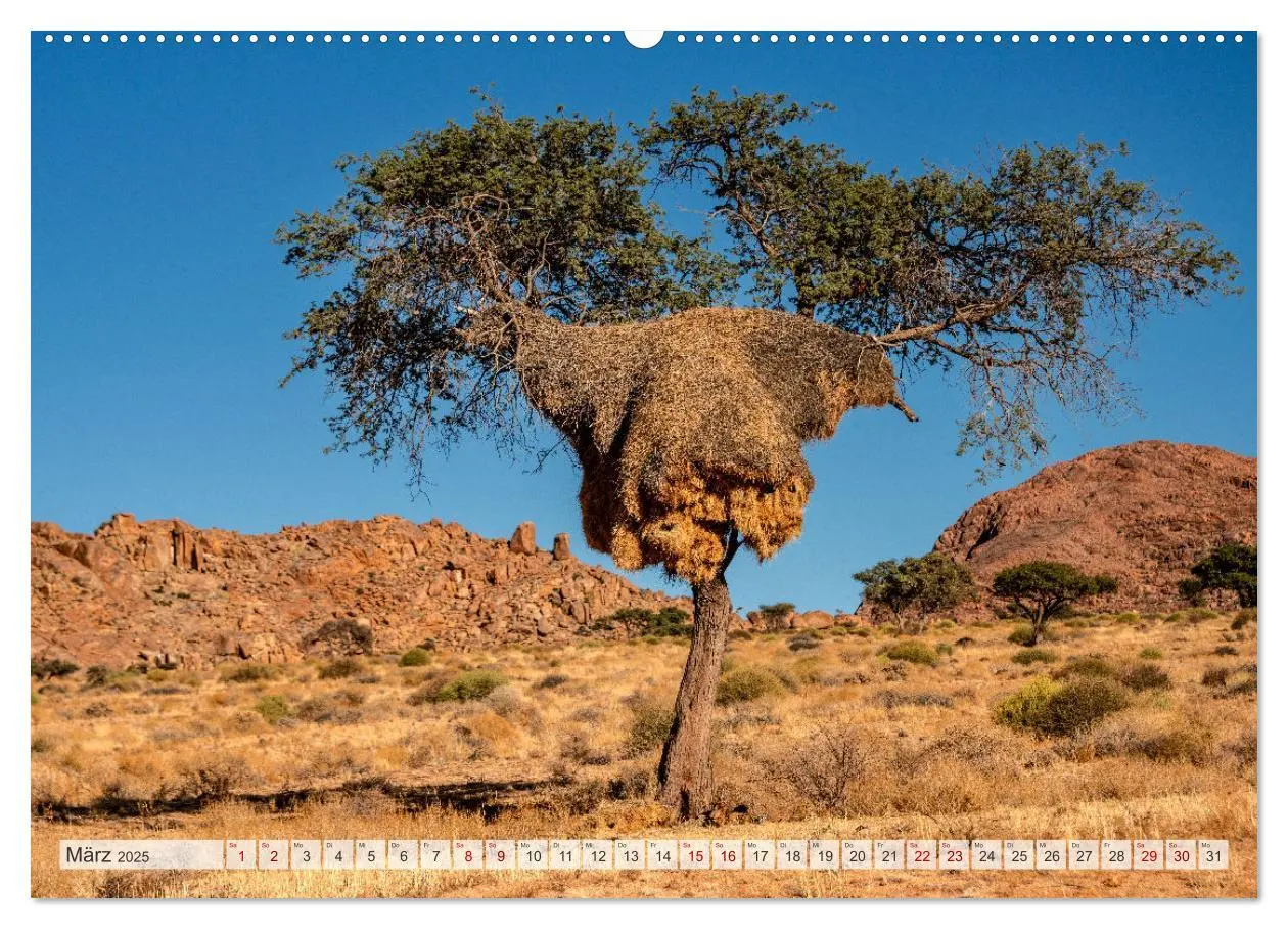 Bild: 9783383853289 | Abenteuerliches Namibia (Wandkalender 2025 DIN A2 quer), CALVENDO...