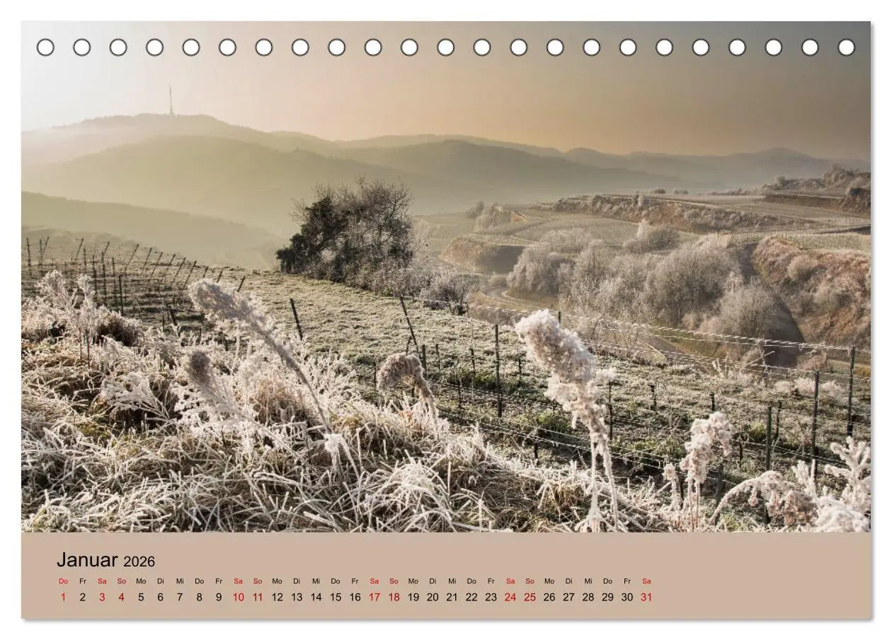 Bild: 9783457273289 | Kaiserstuhlblicke (Tischkalender 2026 DIN A5 quer), CALVENDO...