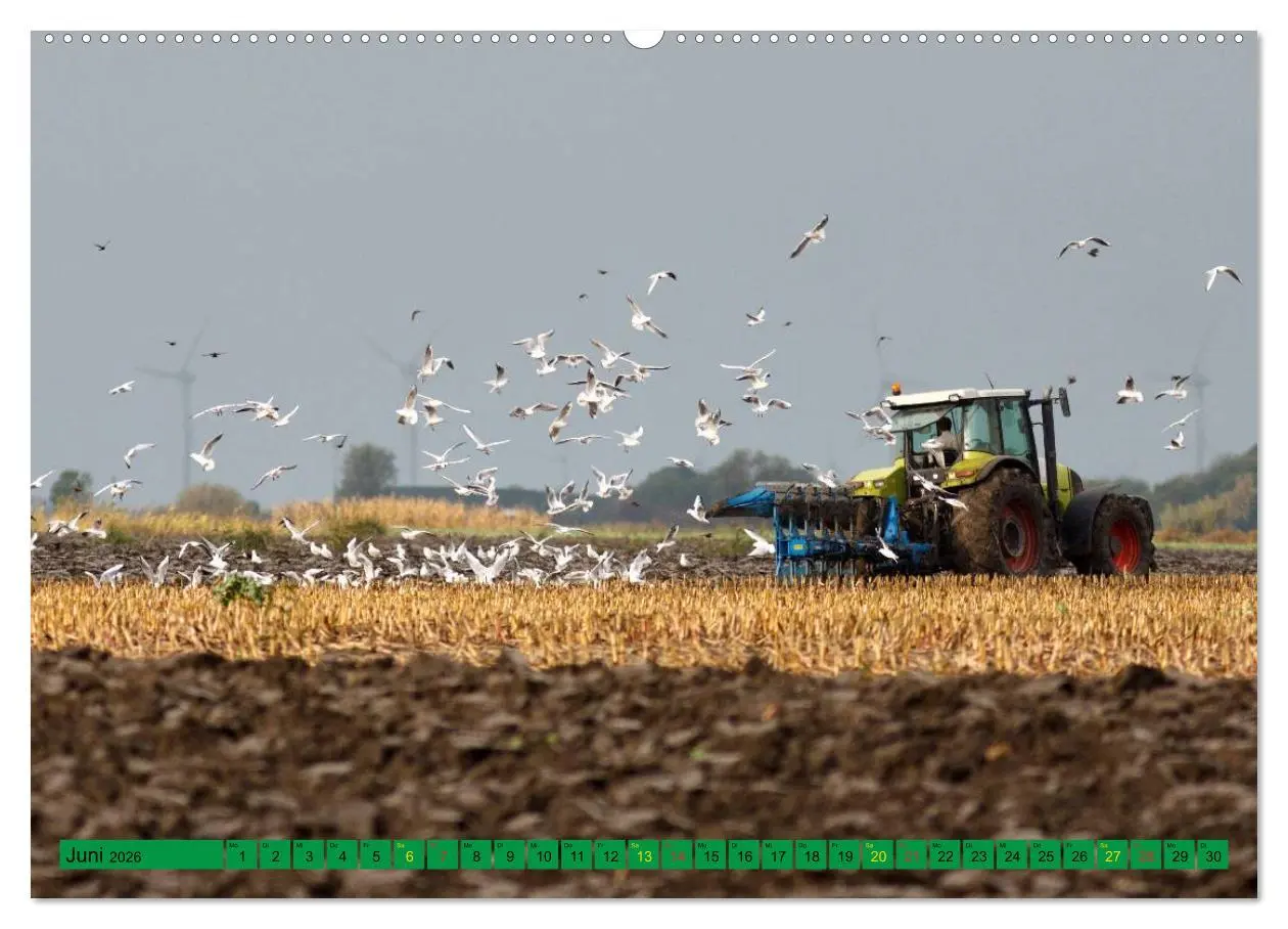 Bild: 9783516053289 | Landwirtschaft - Maschinen im Einsatz (Wandkalender 2026 DIN A2...