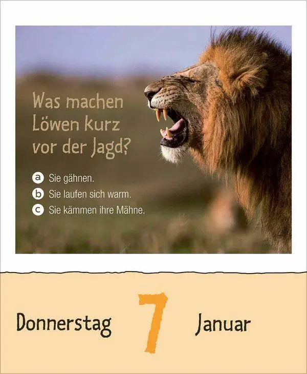 Bild: 9783819303289 | Wie faul ist das Faultier? 2027 | Korsch Verlag | Kalender | 328 S.
