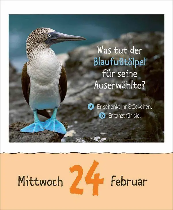 Bild: 9783819303289 | Wie faul ist das Faultier? 2027 | Korsch Verlag | Kalender | 328 S.