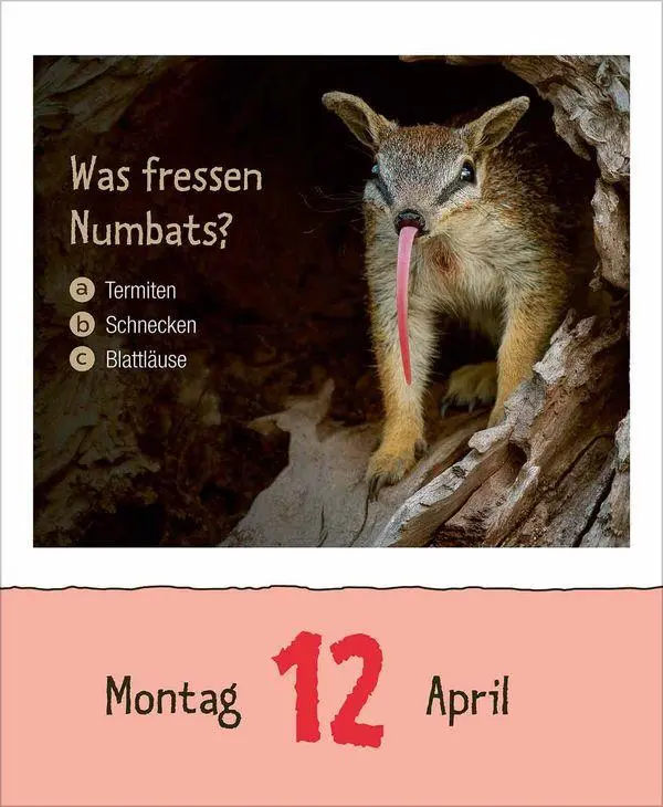 Bild: 9783819303289 | Wie faul ist das Faultier? 2027 | Korsch Verlag | Kalender | 328 S.