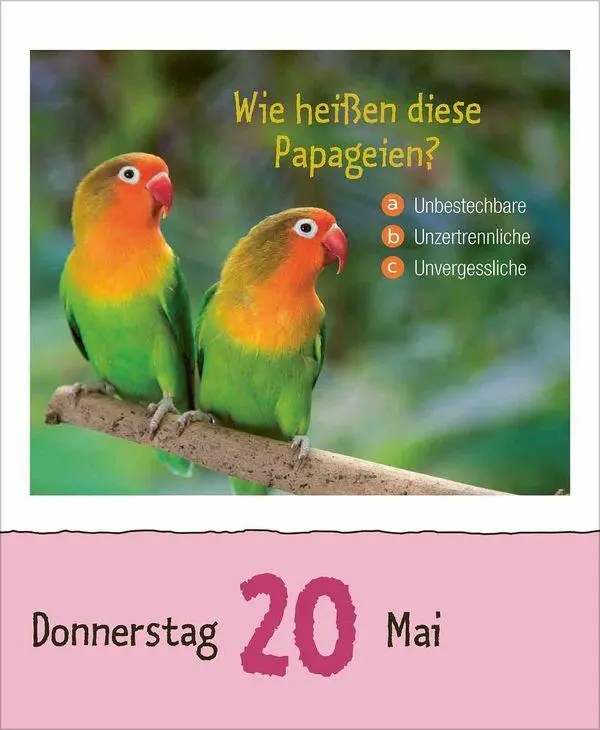 Bild: 9783819303289 | Wie faul ist das Faultier? 2027 | Korsch Verlag | Kalender | 328 S.
