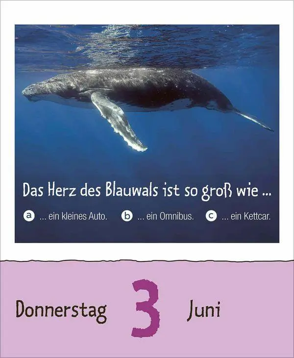Bild: 9783819303289 | Wie faul ist das Faultier? 2027 | Korsch Verlag | Kalender | 328 S.