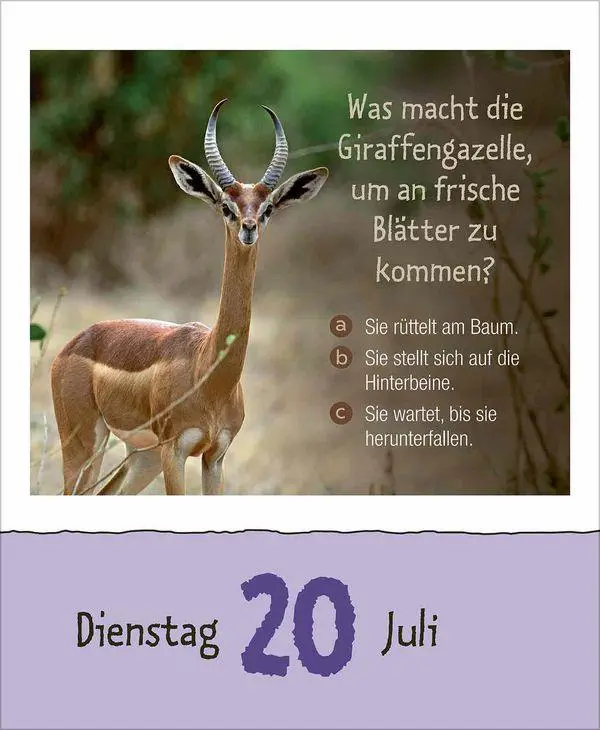 Bild: 9783819303289 | Wie faul ist das Faultier? 2027 | Korsch Verlag | Kalender | 328 S.