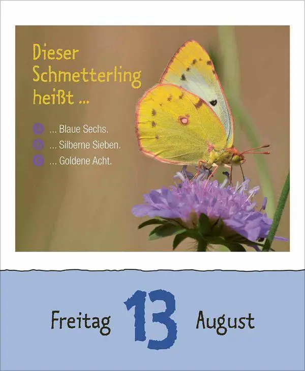 Bild: 9783819303289 | Wie faul ist das Faultier? 2027 | Korsch Verlag | Kalender | 328 S.