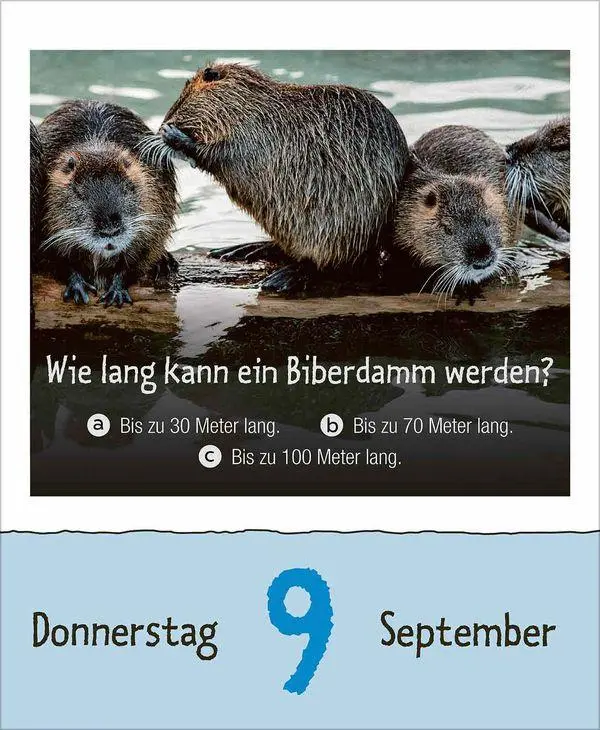 Bild: 9783819303289 | Wie faul ist das Faultier? 2027 | Korsch Verlag | Kalender | 328 S.