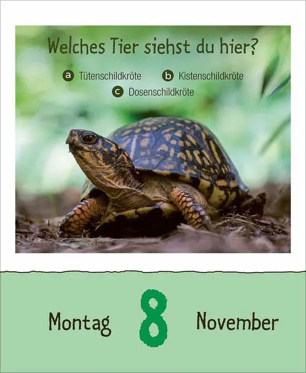 Bild: 9783819303289 | Wie faul ist das Faultier? 2027 | Korsch Verlag | Kalender | 328 S.