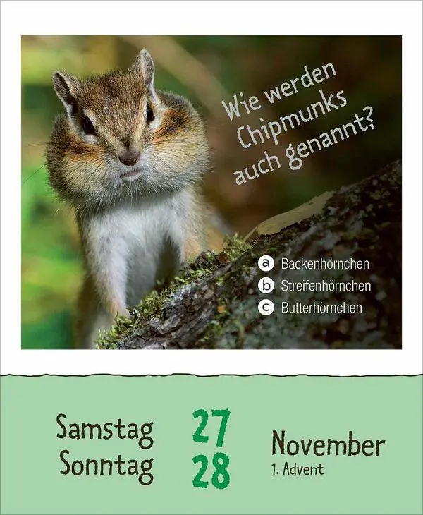 Bild: 9783819303289 | Wie faul ist das Faultier? 2027 | Korsch Verlag | Kalender | 328 S.
