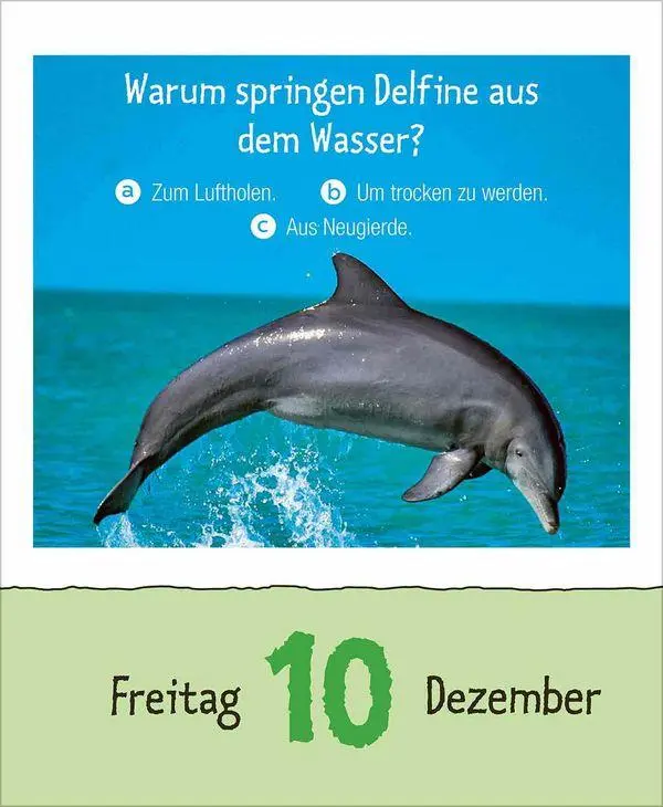 Bild: 9783819303289 | Wie faul ist das Faultier? 2027 | Korsch Verlag | Kalender | 328 S.