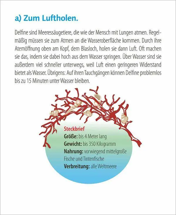 Bild: 9783819303289 | Wie faul ist das Faultier? 2027 | Korsch Verlag | Kalender | 328 S.