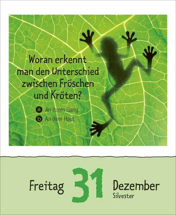 Bild: 9783819303289 | Wie faul ist das Faultier? 2027 | Korsch Verlag | Kalender | 328 S.
