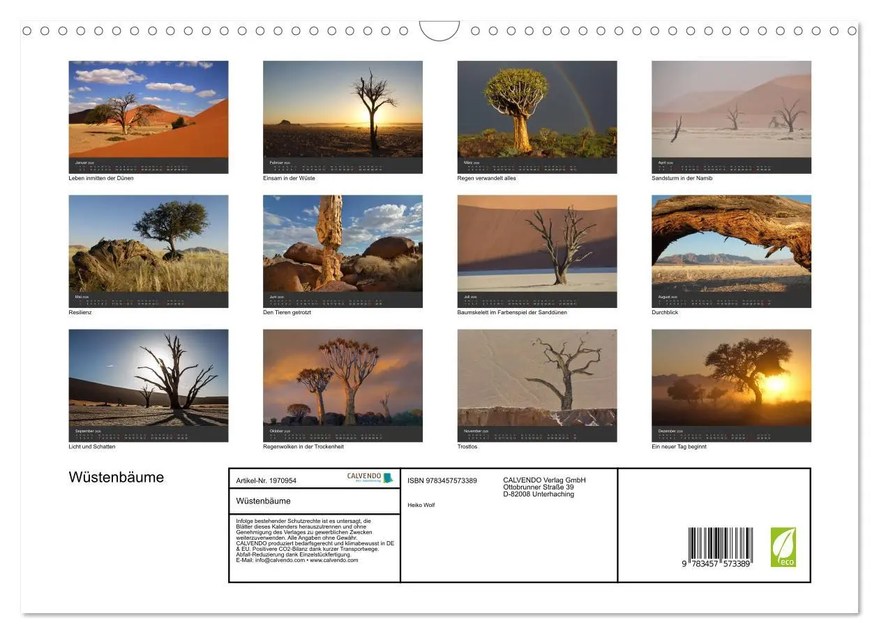Bild: 9783457573389 | Wüstenbäume (Wandkalender 2026 DIN A3 quer), CALVENDO Monatskalender
