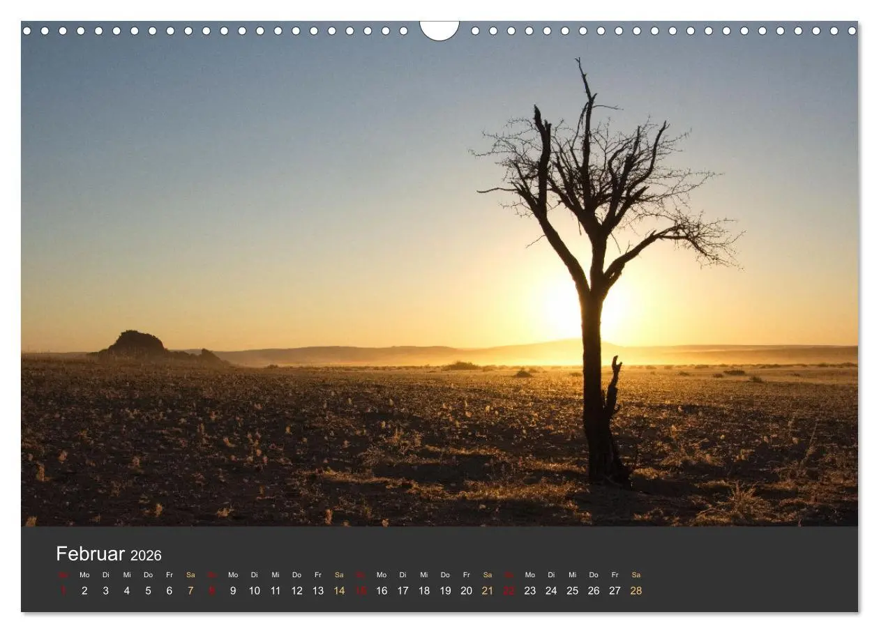 Bild: 9783457573389 | Wüstenbäume (Wandkalender 2026 DIN A3 quer), CALVENDO Monatskalender