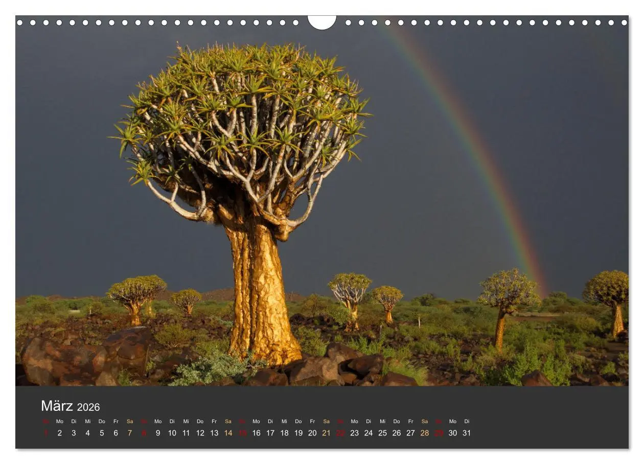 Bild: 9783457573389 | Wüstenbäume (Wandkalender 2026 DIN A3 quer), CALVENDO Monatskalender