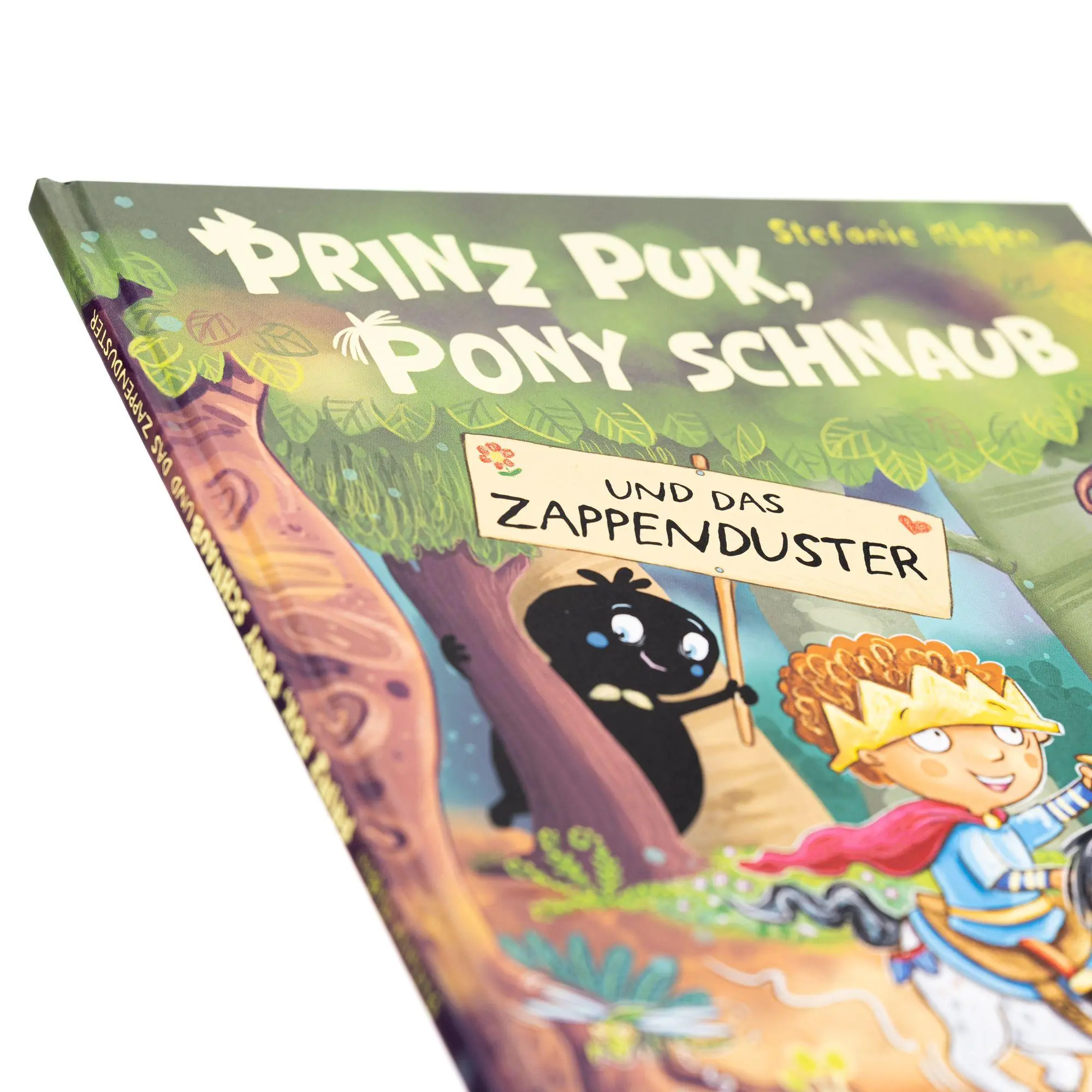 Bild: 9783505153389 | Prinz Puk, Pony Schnaub und das Zappenduster | Stefanie Klaßen | Buch