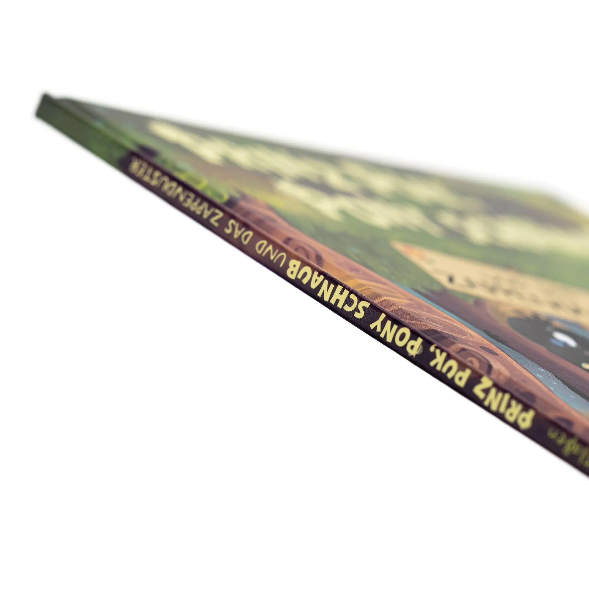 Bild: 9783505153389 | Prinz Puk, Pony Schnaub und das Zappenduster | Stefanie Klaßen | Buch
