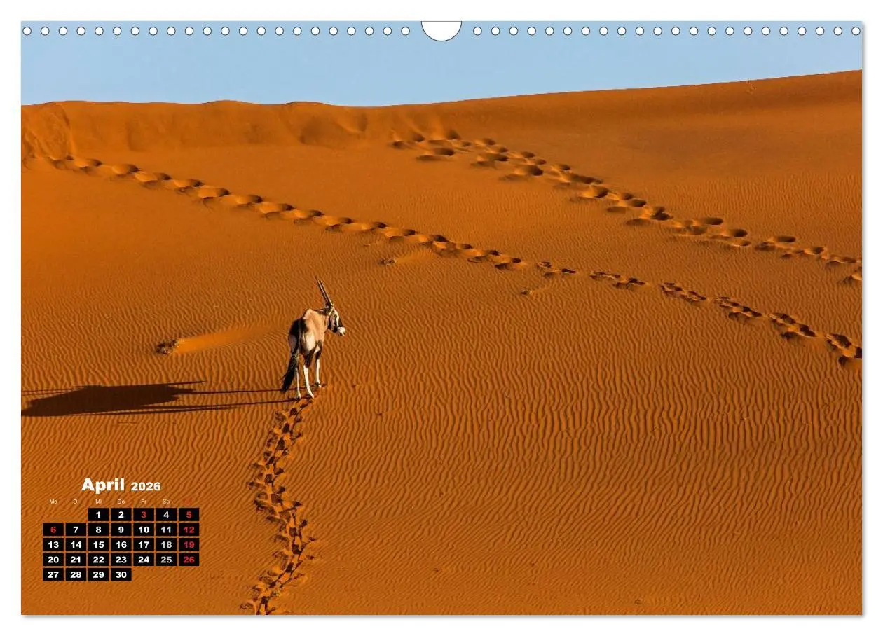 Bild: 9783516043389 | Blickpunkte in Namibia (Wandkalender 2026 DIN A3 quer), CALVENDO...