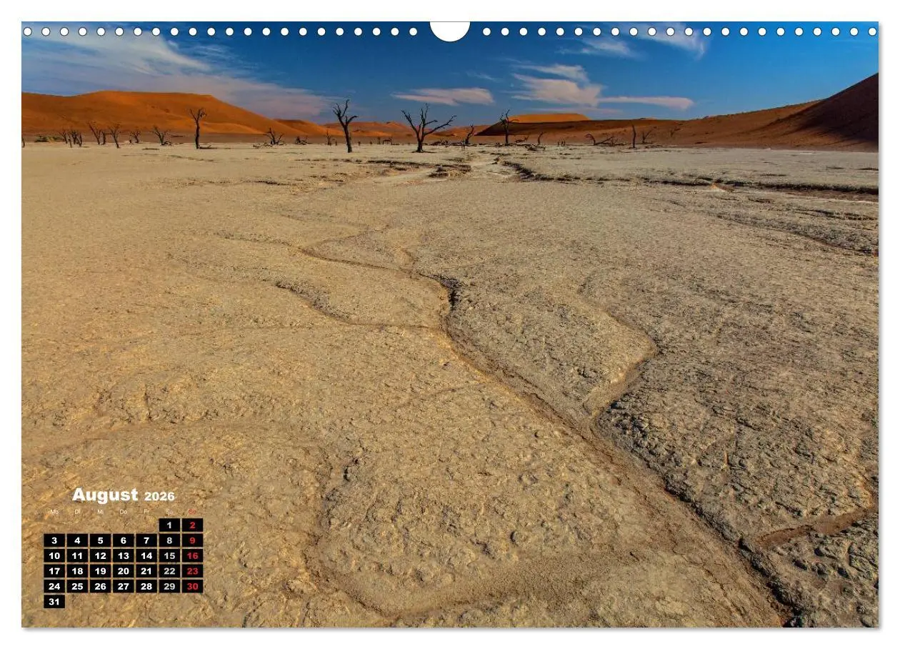 Bild: 9783516043389 | Blickpunkte in Namibia (Wandkalender 2026 DIN A3 quer), CALVENDO...