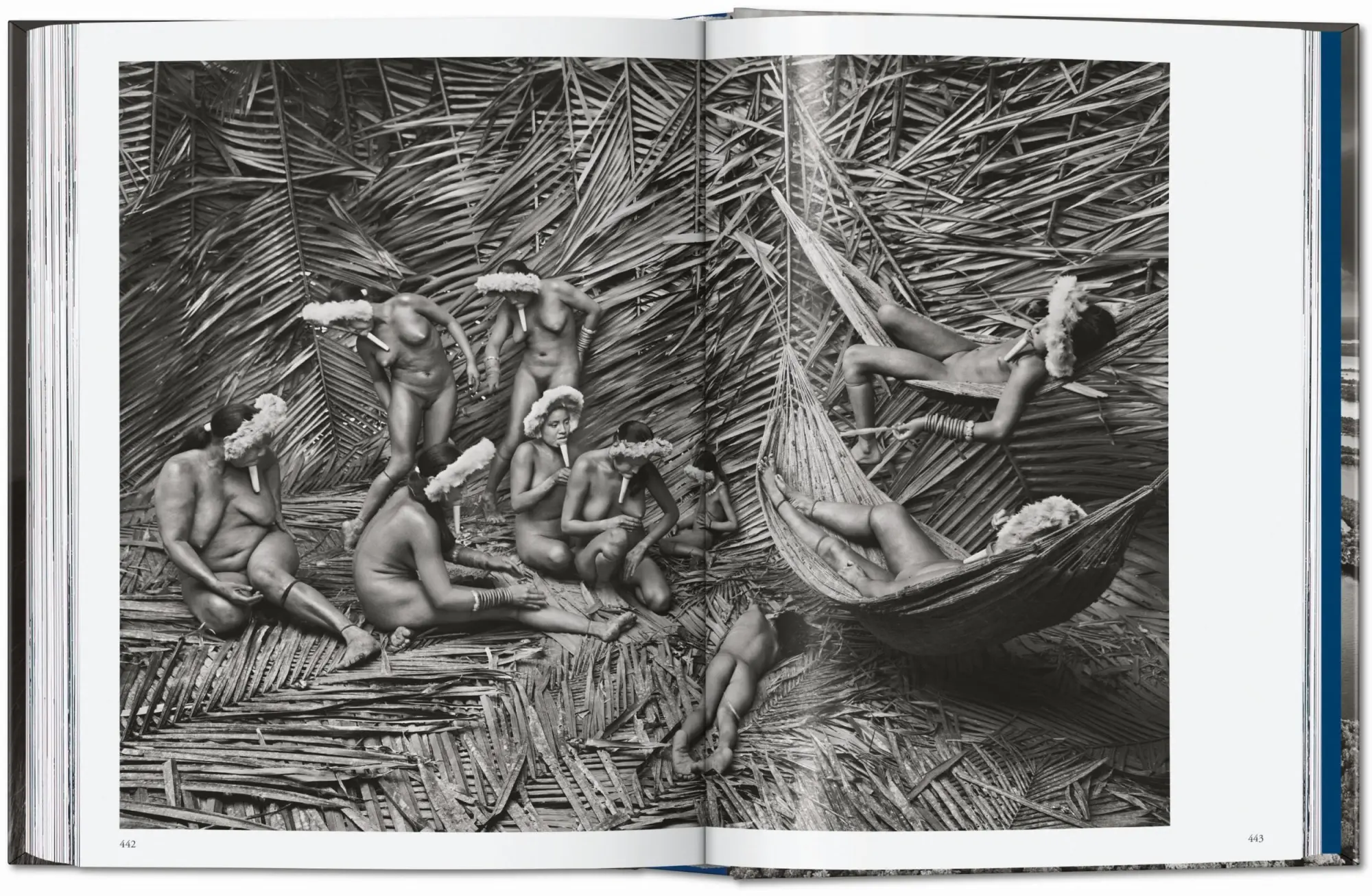 Bild: 9783754403389 | Sebastião Salgado. Amazônia. 45th Ed. | Lélia Wanick Salgado | Buch