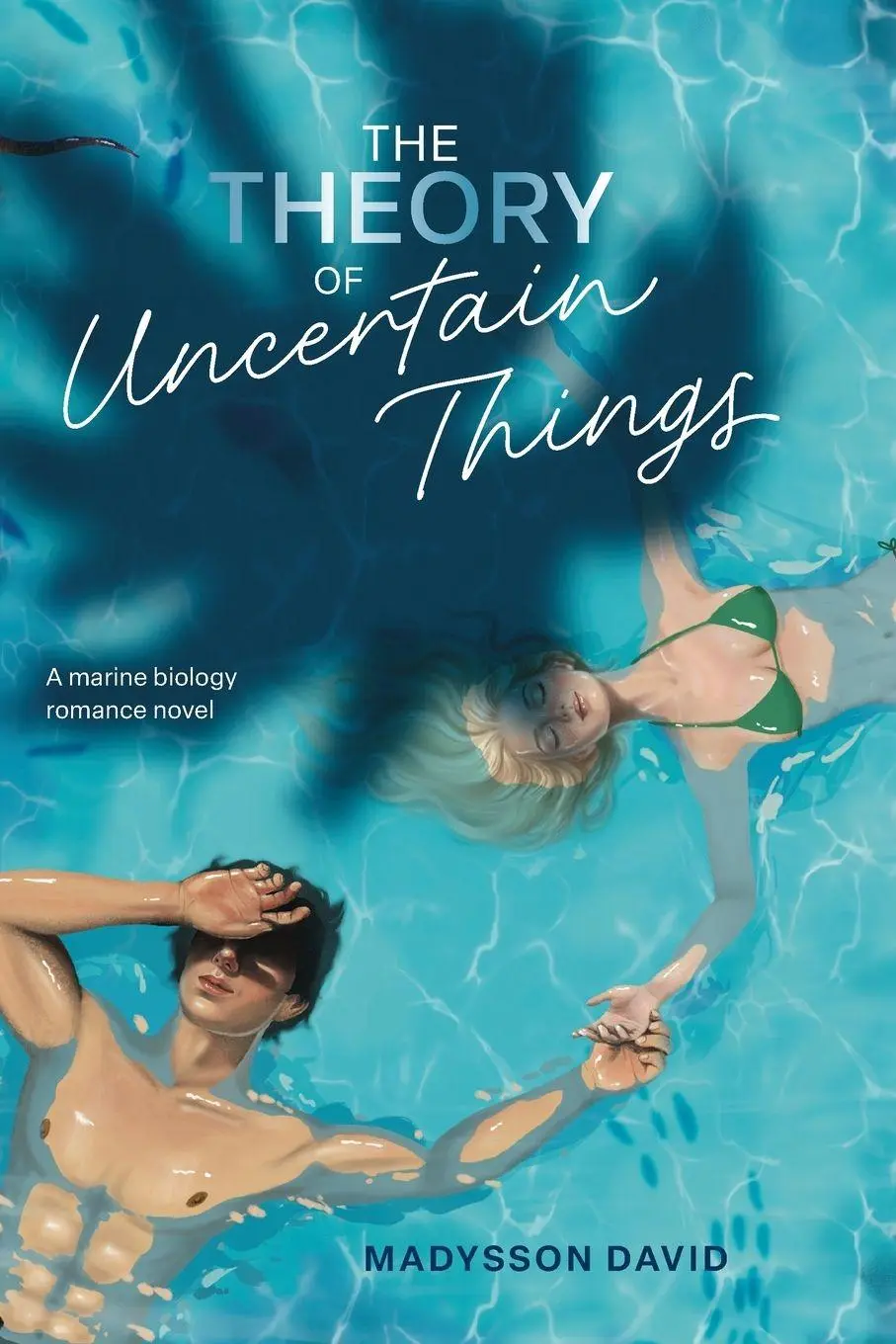Cover: 9789699393389 | The Theory of Uncertain Things | David | Taschenbuch | Englisch | 2026