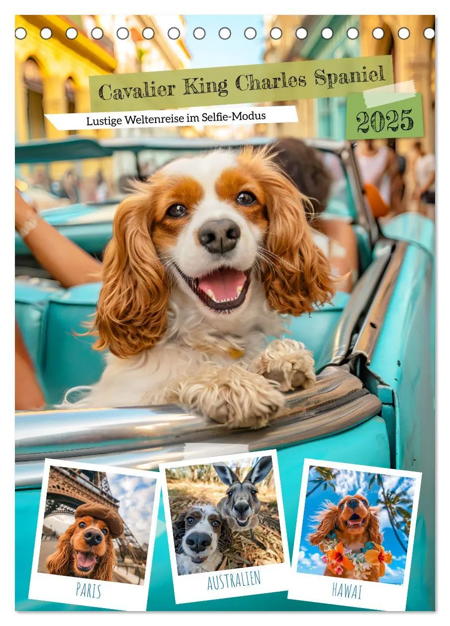 Cover: 9783383763489 | Cavalier King Charles Spaniel - Lustige Weltenreise im Selfie-Modus...