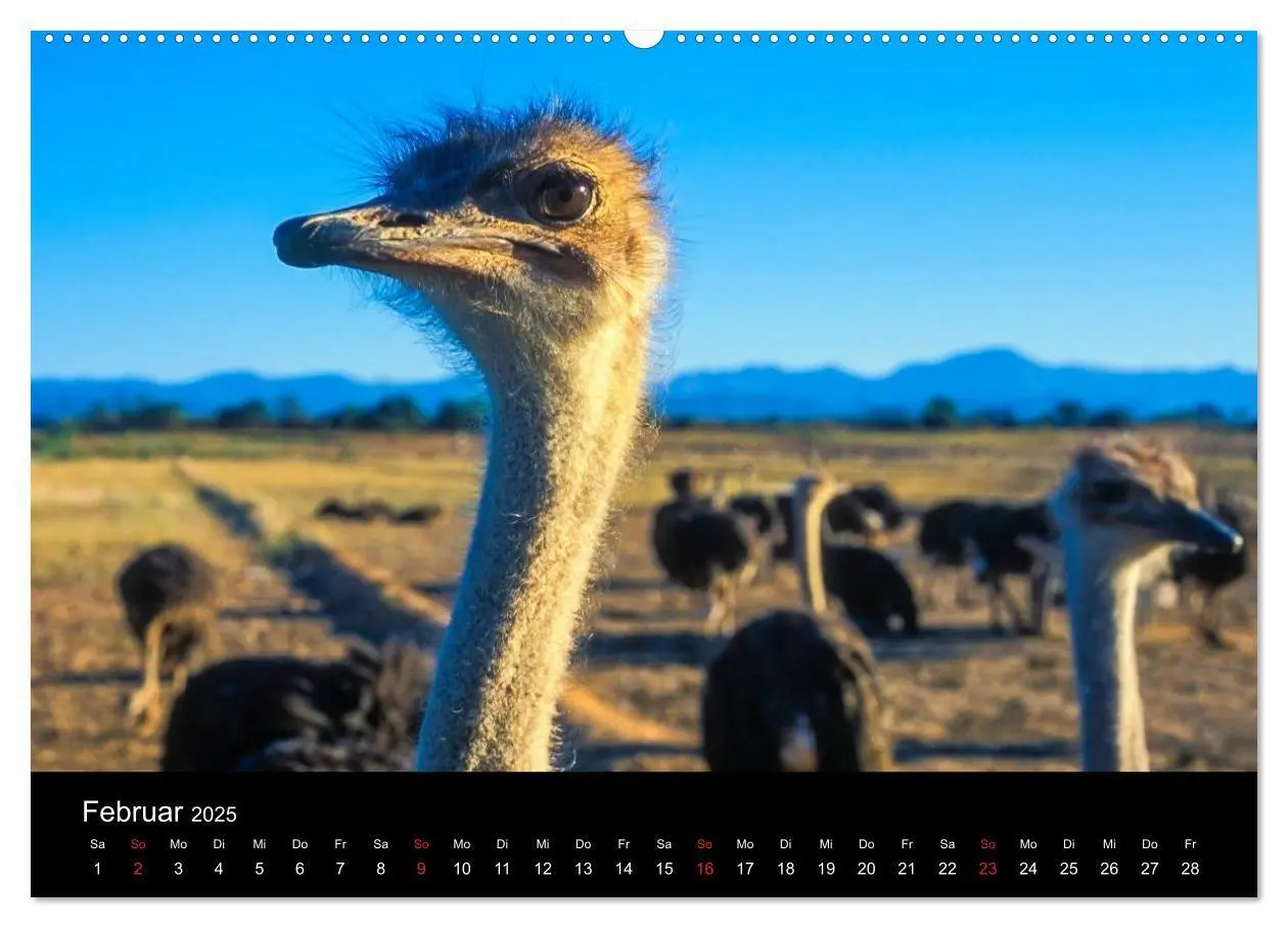 Bild: 9783435783489 | Kapstadt, Winelands und Garden Route (Wandkalender 2025 DIN A2...