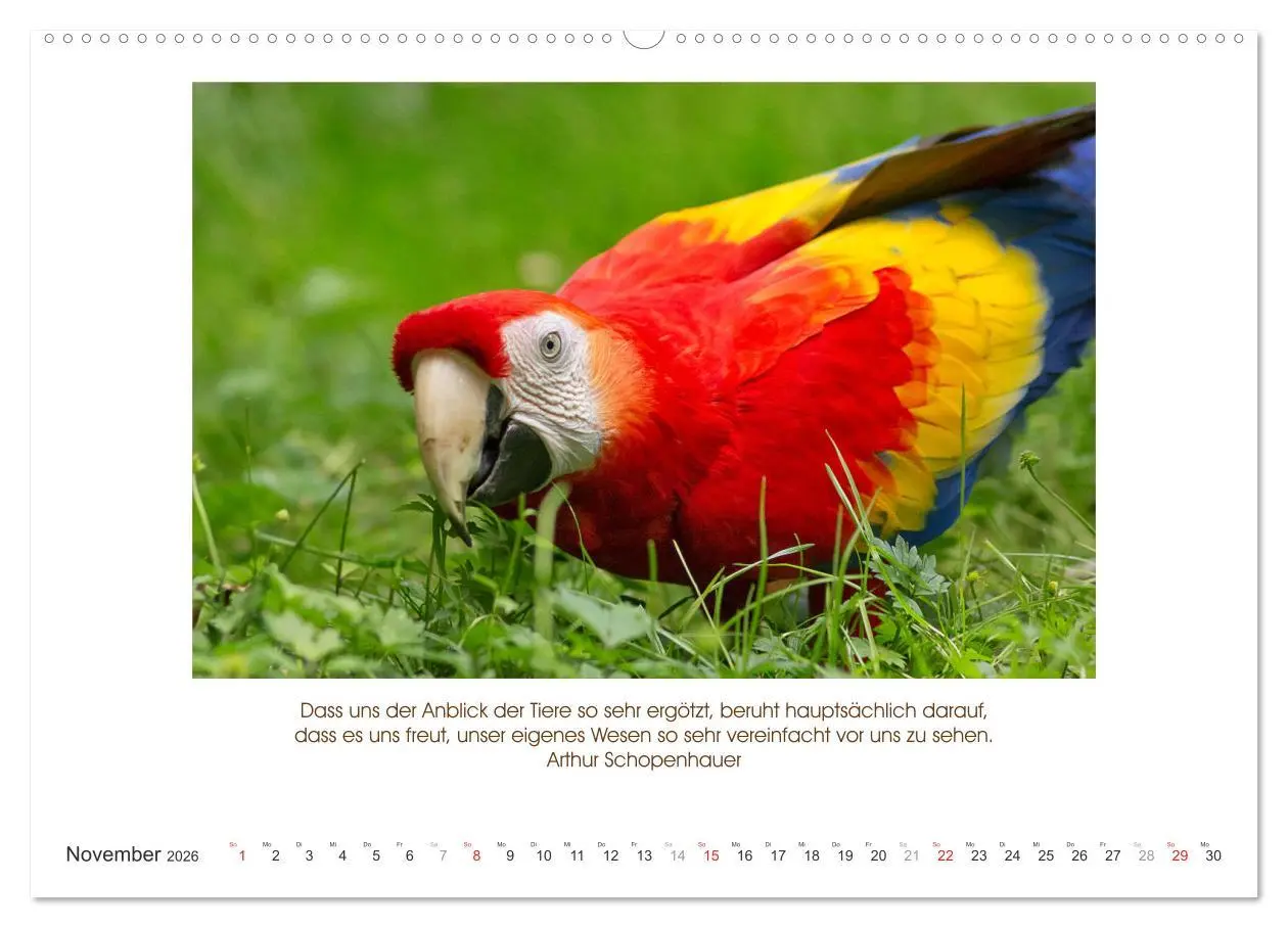 Bild: 9783516103489 | Der Tierkalender mit Zitaten, Weisheiten und Sprüchen (hochwertiger...