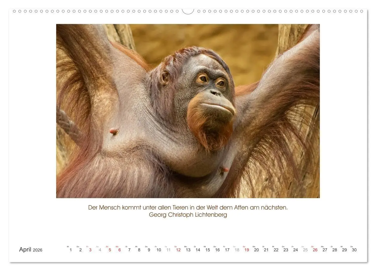 Bild: 9783516103489 | Der Tierkalender mit Zitaten, Weisheiten und Sprüchen (hochwertiger...
