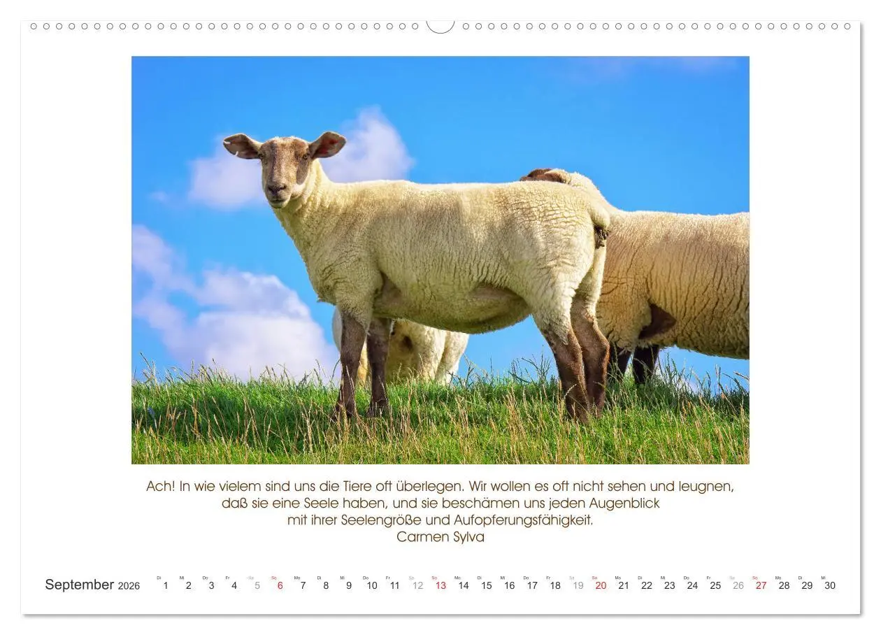 Bild: 9783516103489 | Der Tierkalender mit Zitaten, Weisheiten und Sprüchen (hochwertiger...
