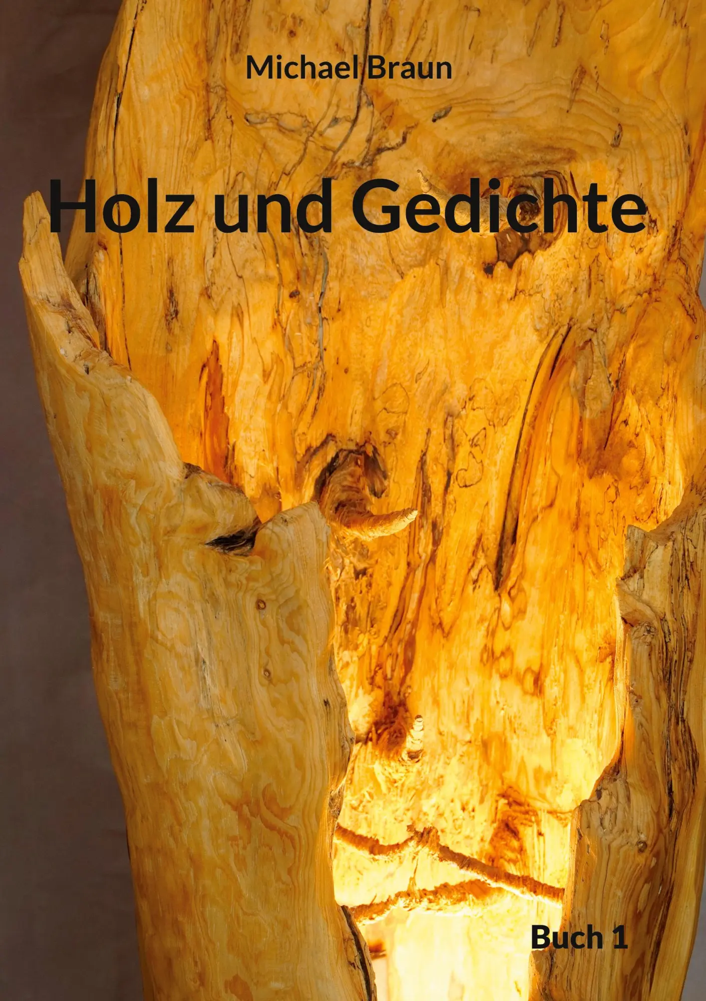 Cover: 9783748173489 | Holz und Gedichte | Michael Braun | Buch | 32 S. | Deutsch | 2023