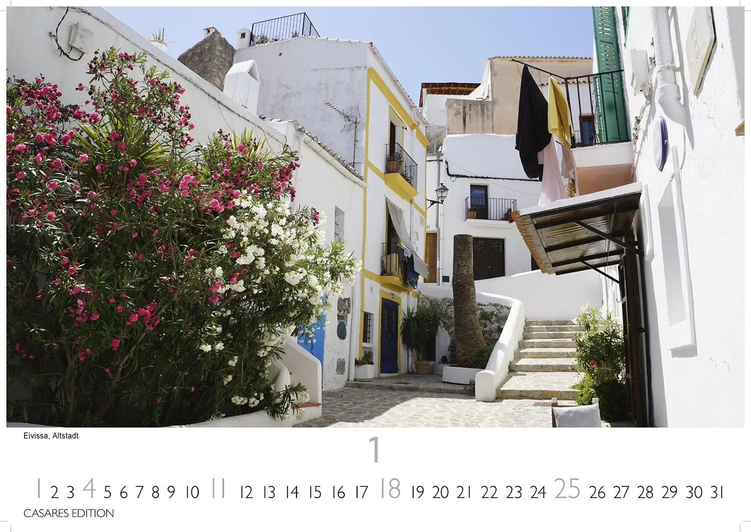 Bild: 9781835243589 | Ibiza/Formentera 2026 L 35x50cm | Kalender | 14 S. | Deutsch | 2026