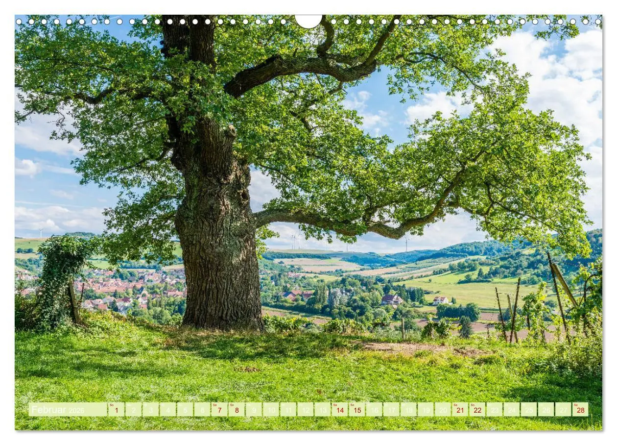 Bild: 9783457843789 | Mystischer Disibodenberg (Wandkalender 2026 DIN A3 quer), CALVENDO...