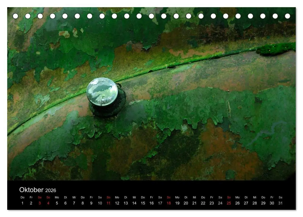 Bild: 9783516173789 | ROSTLAUBEN Die schönsten Autowracks (Tischkalender 2026 DIN A5...