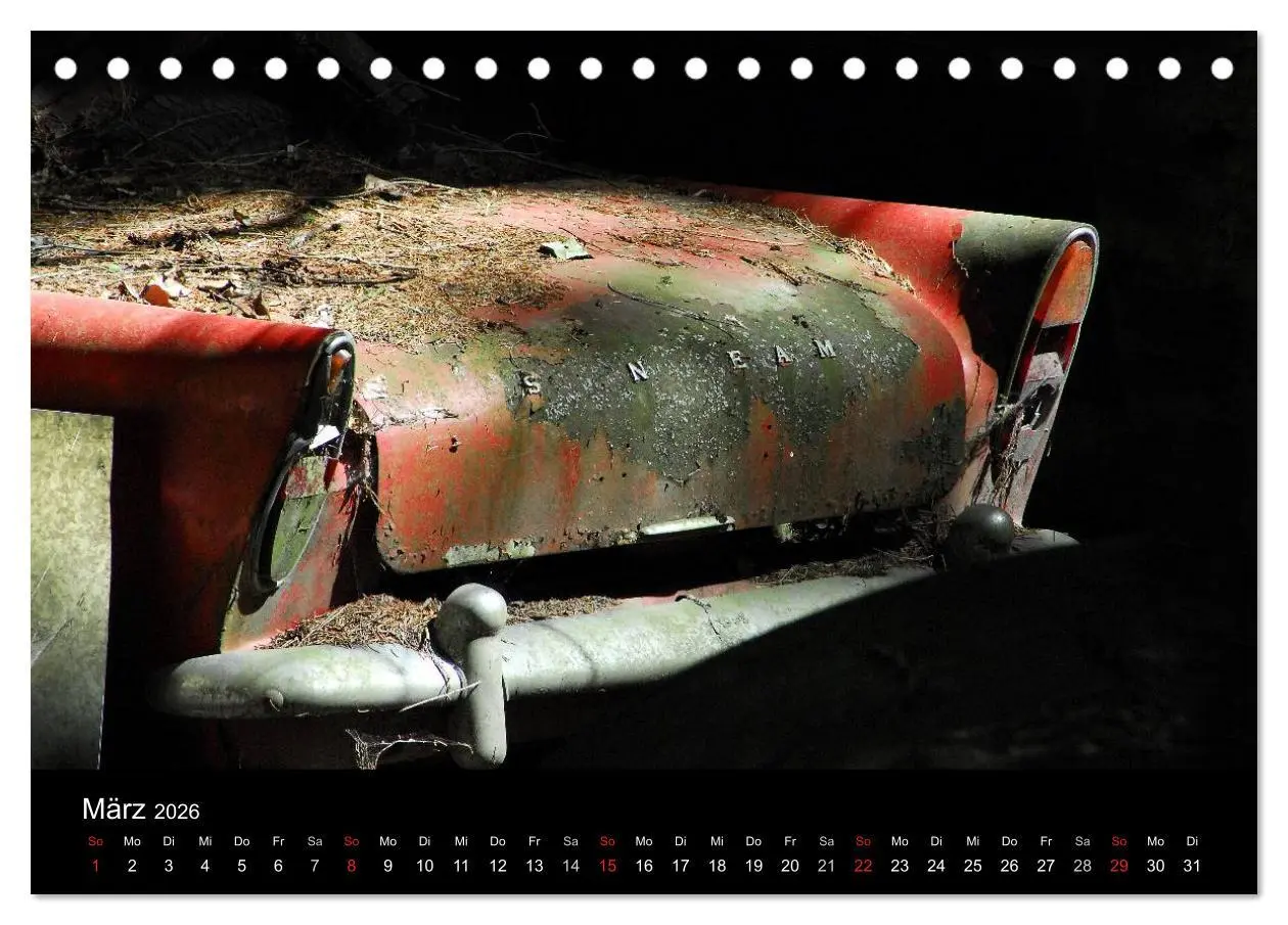 Bild: 9783516173789 | ROSTLAUBEN Die schönsten Autowracks (Tischkalender 2026 DIN A5...