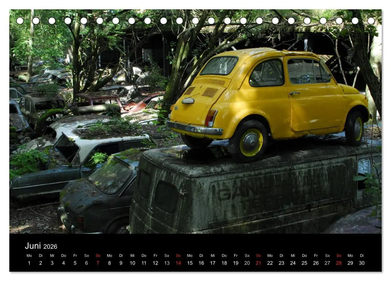 Bild: 9783516173789 | ROSTLAUBEN Die schönsten Autowracks (Tischkalender 2026 DIN A5...