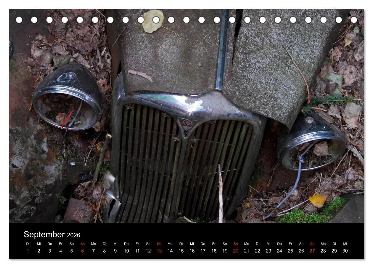 Bild: 9783516173789 | ROSTLAUBEN Die schönsten Autowracks (Tischkalender 2026 DIN A5...