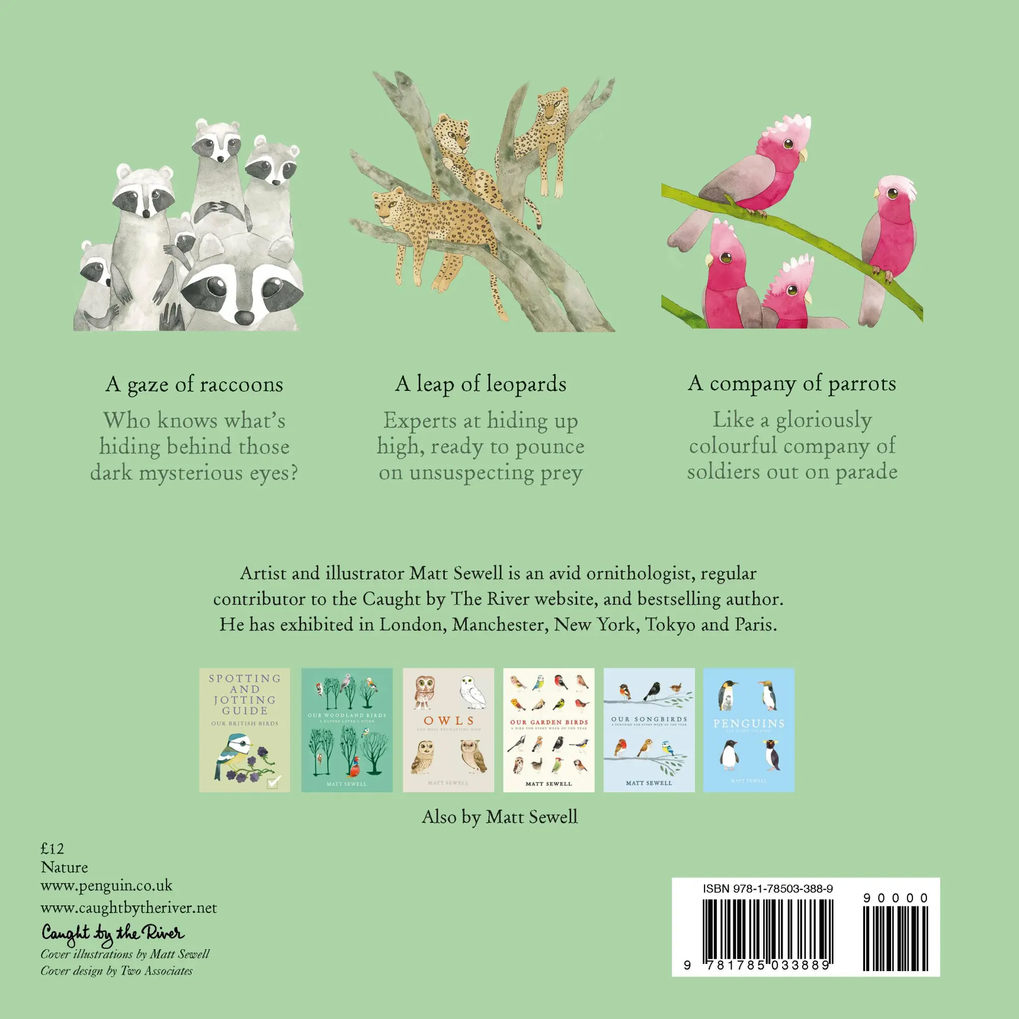 Rückseite: 9781785033889 | A Charm of Goldfinches and Other Collective Nouns | Matt Sewell | Buch