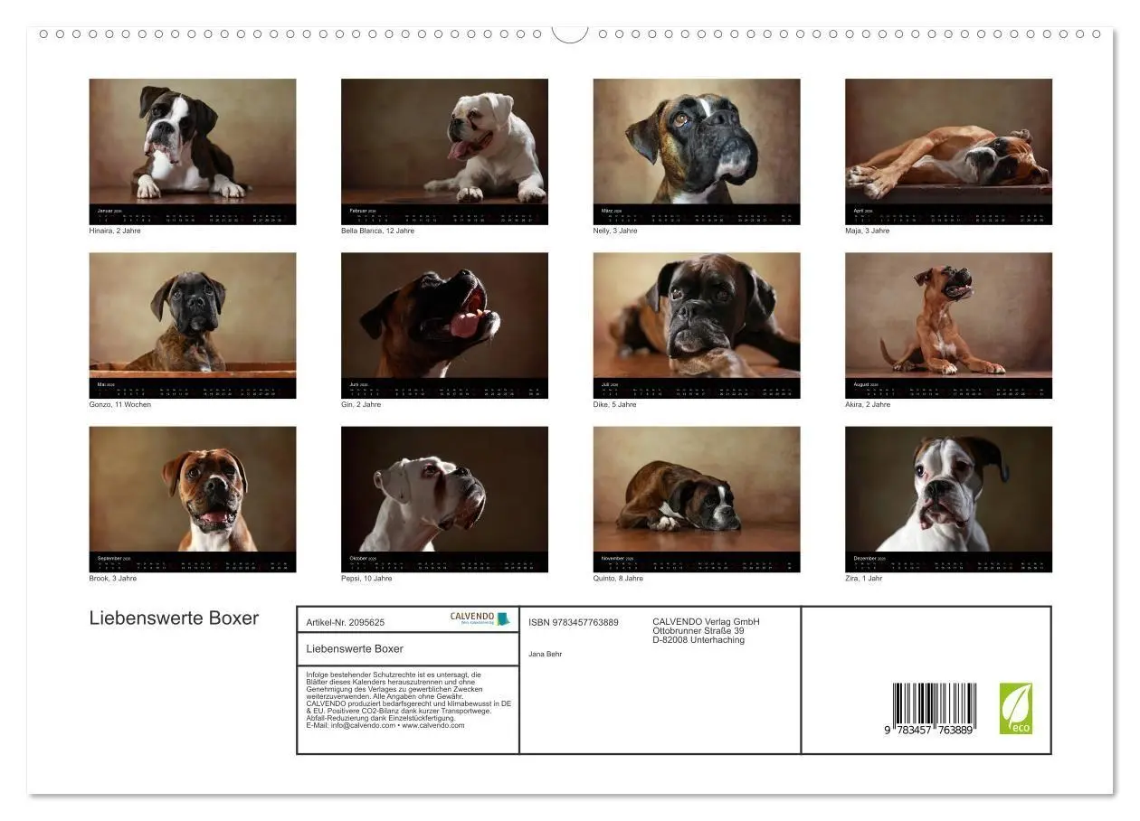 Bild: 9783457763889 | Liebenswerte Boxer (hochwertiger Premium Wandkalender 2026 DIN A2...