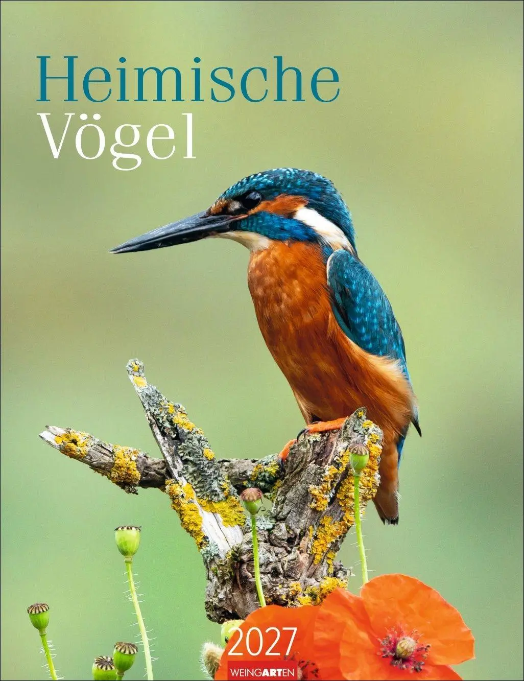 Cover: 9783839903889 | Heimische Vögel Kalender 2027 | Kalender | Tierkalender Weingarten