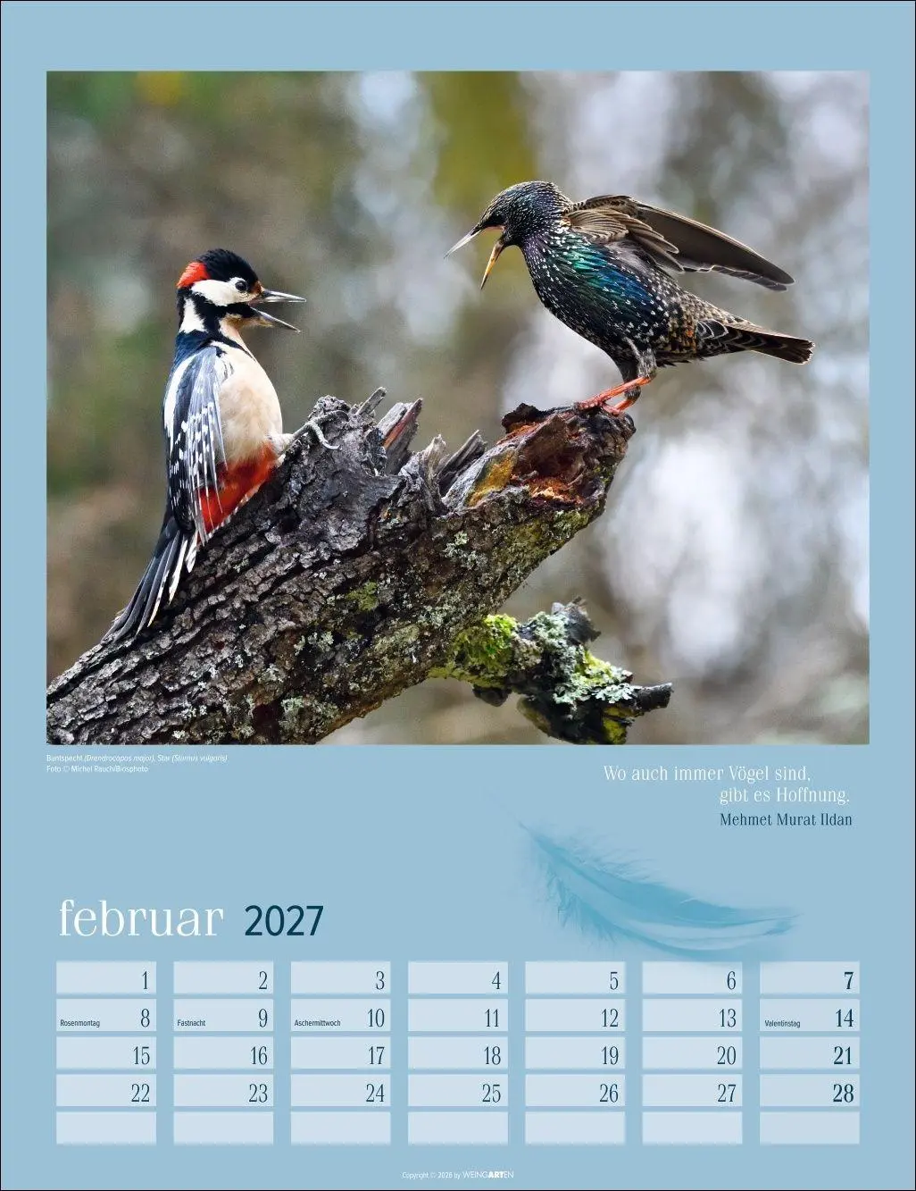 Bild: 9783839903889 | Heimische Vögel Kalender 2027 | Kalender | Tierkalender Weingarten