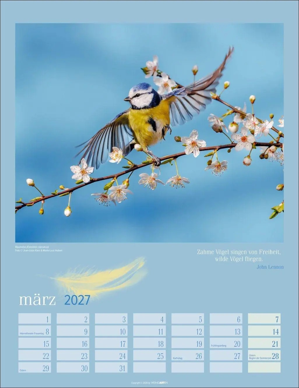 Bild: 9783839903889 | Heimische Vögel Kalender 2027 | Kalender | Tierkalender Weingarten