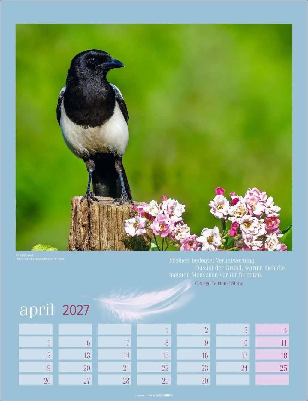 Bild: 9783839903889 | Heimische Vögel Kalender 2027 | Kalender | Tierkalender Weingarten