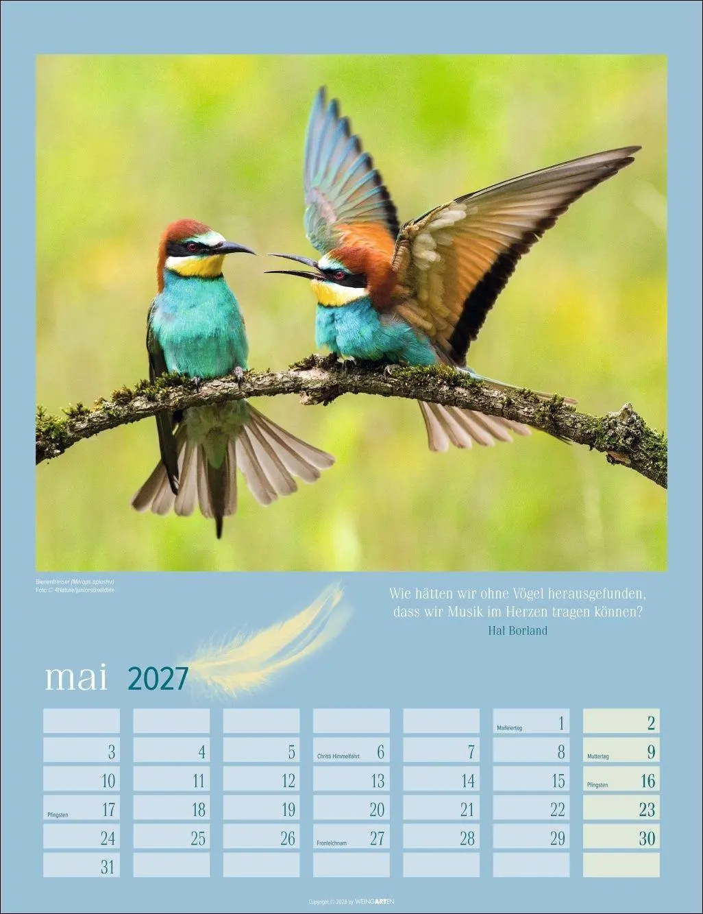 Bild: 9783839903889 | Heimische Vögel Kalender 2027 | Kalender | Tierkalender Weingarten