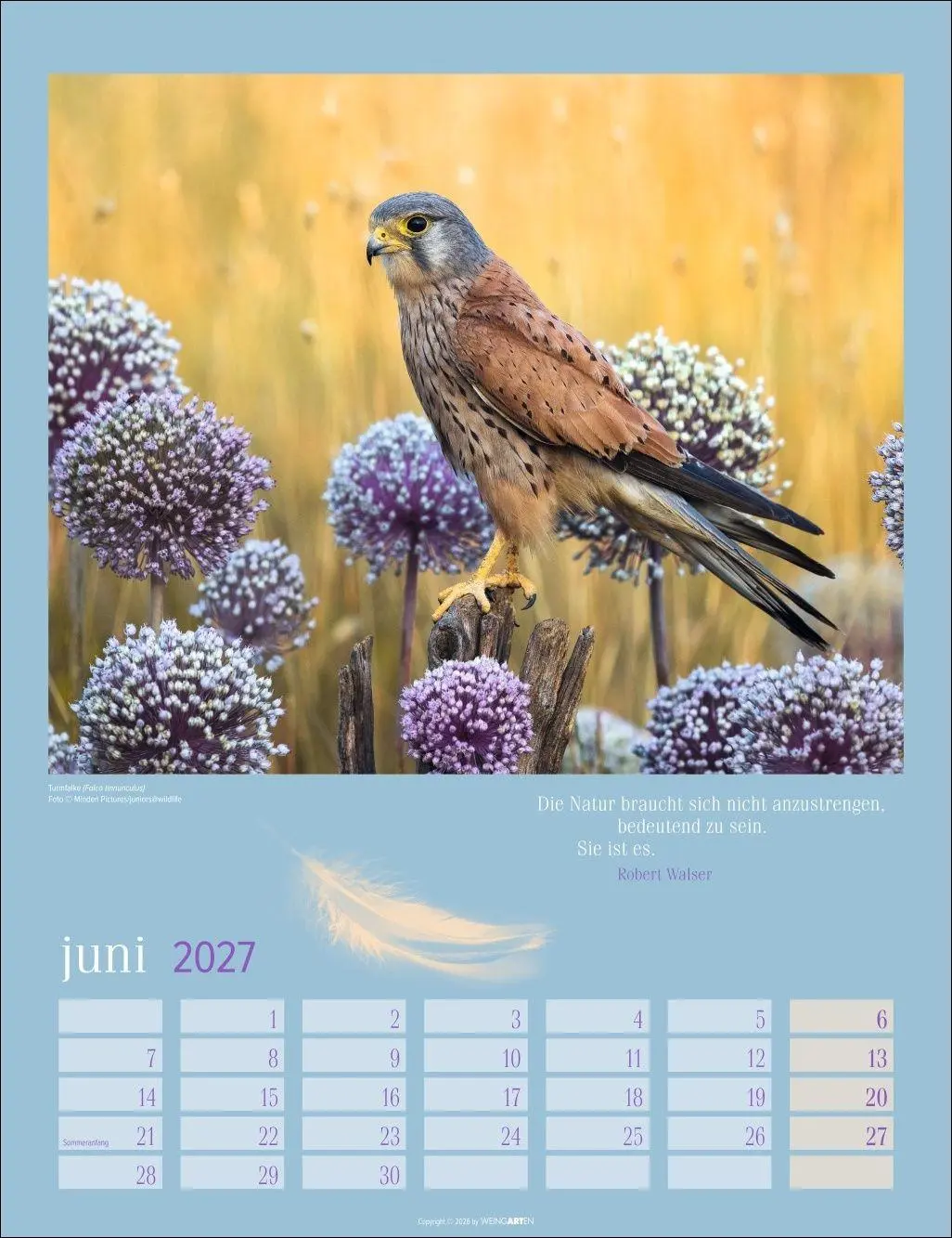Bild: 9783839903889 | Heimische Vögel Kalender 2027 | Kalender | Tierkalender Weingarten
