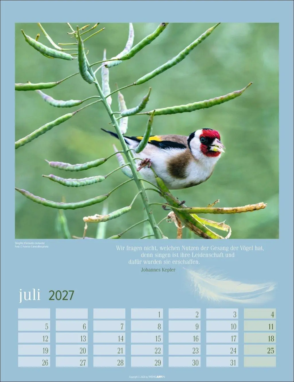 Bild: 9783839903889 | Heimische Vögel Kalender 2027 | Kalender | Tierkalender Weingarten